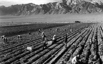 Ansel Adams