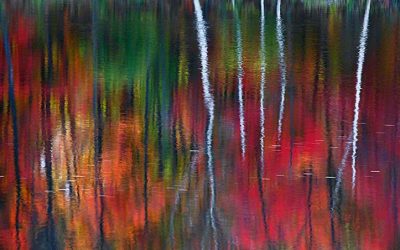 Peter Lik
