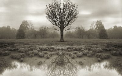 Alfred Stieglitz