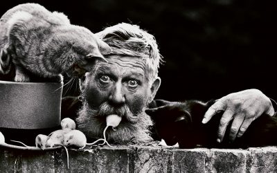 Don McCullin