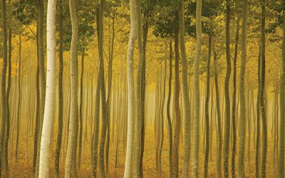 USA Landscape Photographer of the Year 2015