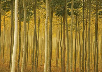 USA Landscape Photographer of the Year 2015