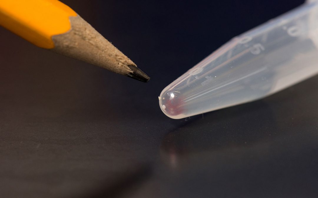 Los científicos usan ADN para almacenar fotos digitales durante siglos