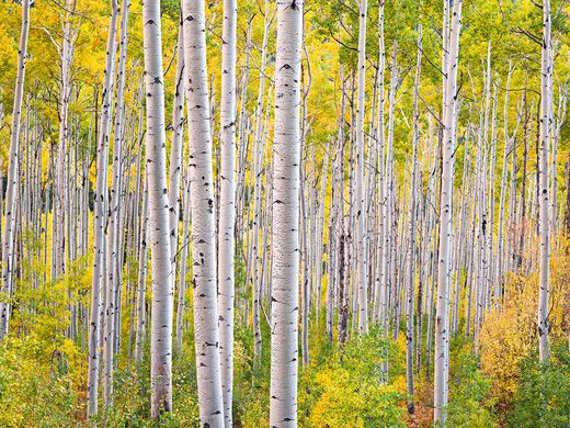 Se abre el U.S.A. Landscape Photographer of the Year 2016