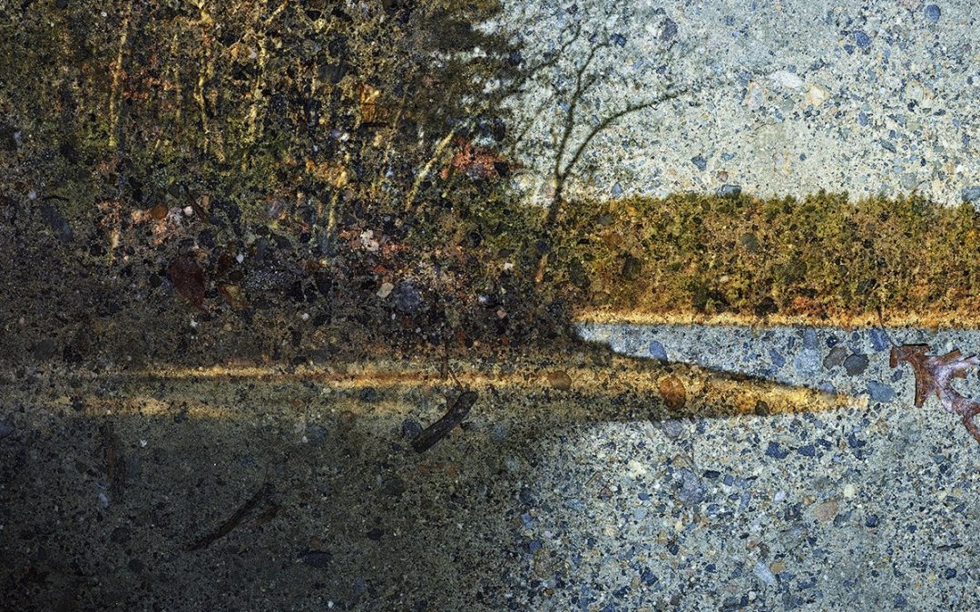 Abelardo Morell