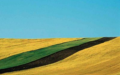 Franco Fontana