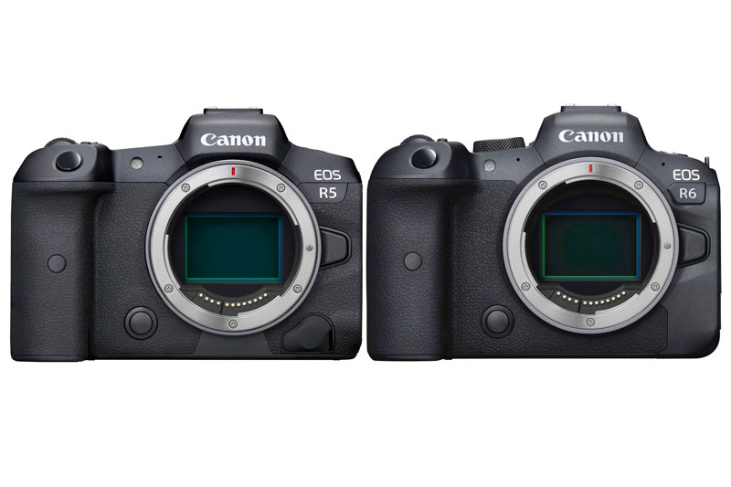 Canon EOS R5 vs. R6: ¿Cuales son las diferencias?